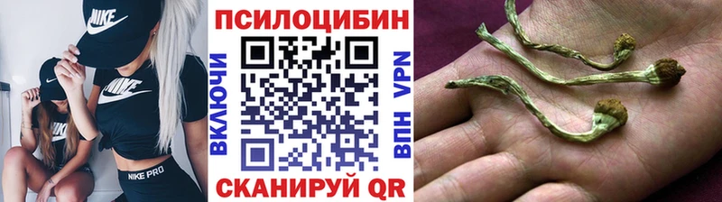 Галлюциногенные грибы Psilocybe  Якутск 